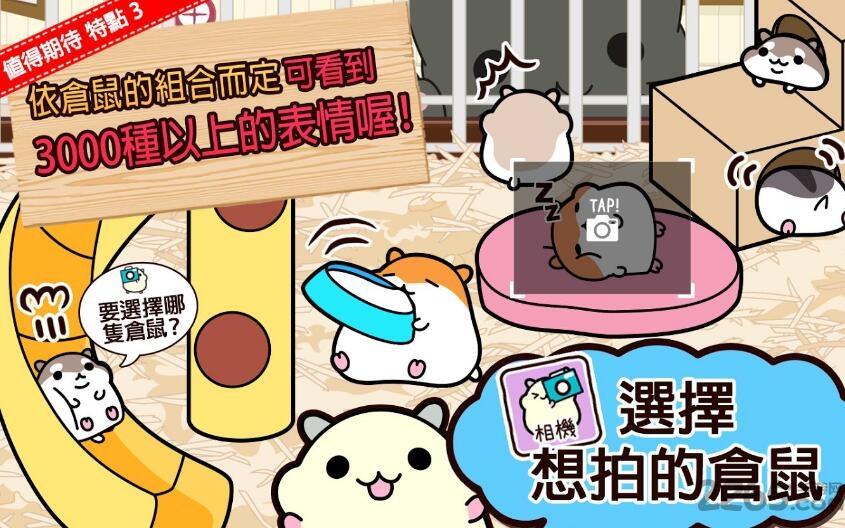 仓鼠收集无限金币版下载,仓鼠收集,仓鼠游戏,养成游戏,休闲游戏