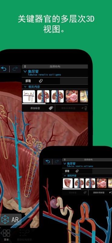 人体解剖学图谱2024最新版下载,人体解剖学图谱2022,医学app,解刨app