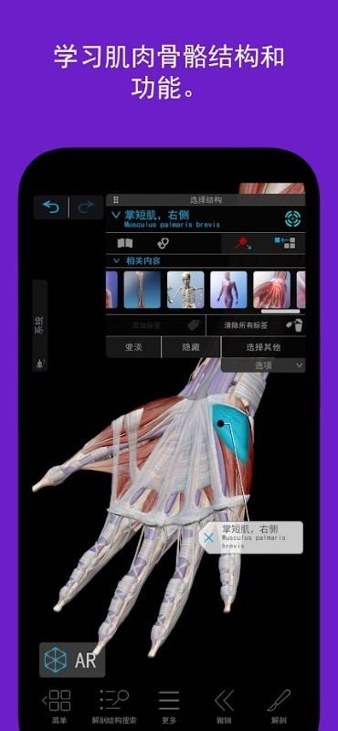 人体解剖学图谱2024最新版下载,人体解剖学图谱2022,医学app,解刨app